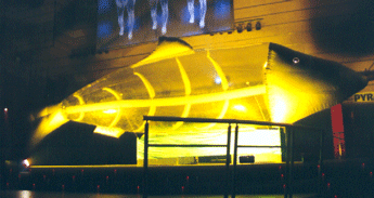 AUFBLASBARER FISCH MIT LICHT